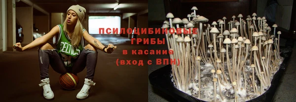 гидропоника Касимов