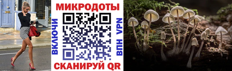 Купить где  Кадников  Псилоцибиновые грибы ЛСД 